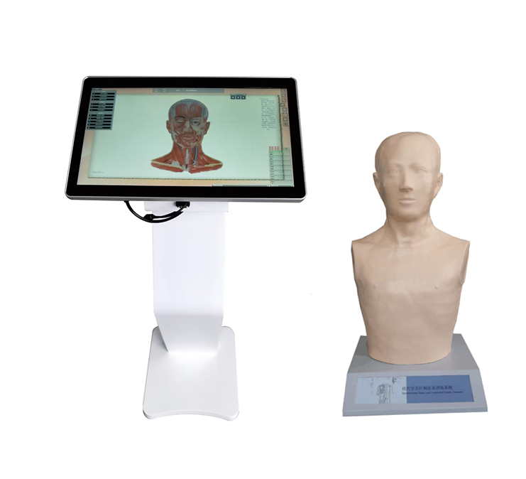 經(jīng)穴學(xué)及針刺仿真訓(xùn)練系統(tǒng)
